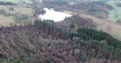 Storm Arwen - Devastating image shows impact Storm Arwen is still having on Scots country parks - dailyrecord.co.uk - Scotland