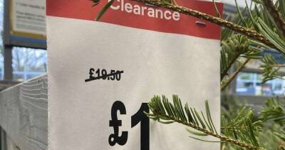 Major high street retailer selling real Christmas trees for £1 - and it's not Aldi, Home Bargains or B&M - www.manchestereveningnews.co.uk - Britain
