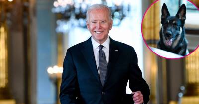 President Joe Biden Rehomes Dog Major, Will Adopt a Cat in 2022: Details - www.usmagazine.com
