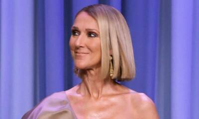 Celine Dion delights fans with rare family Christmas photograph - hellomagazine.com