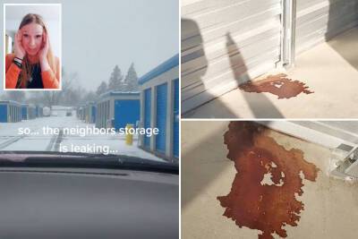 Viral TikTok video shows blood-like pool outside storage unit - nypost.com