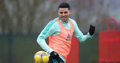Tom Rogic to miss Celtic crunch games as Australia boss determined to call 'amazing talent' - www.dailyrecord.co.uk - Australia - county Graham