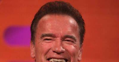 Arnold Schwarzenegger donates £186,700 to house veterans ahead of festive season - www.msn.com - California
