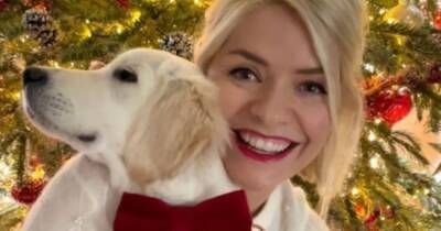 Holly Willoughby shares adorable Christmas Day snap with her new puppy Bailey - www.ok.co.uk