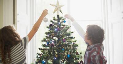 Exact date you should take down your Christmas tree this year - www.dailyrecord.co.uk - Beyond
