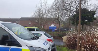 Two bodies found in Livingston house and teen arrested as cops 'kick down door' - www.dailyrecord.co.uk - county Livingston
