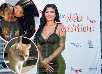 Kylie Jenner - Kylie Jenner Welcomes ADORABLE New Kitten Ahead Of Baby No. 2! - perezhilton.com