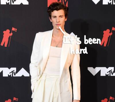 Shawn Mendes Admits He’s Having ‘A Hard Time’ With Social Media In Candid Video - perezhilton.com