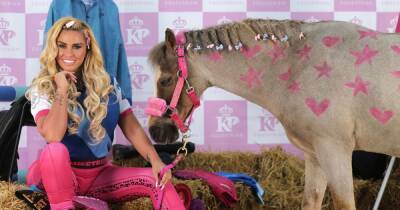 Katie Price dons bright pink jodhpurs as she poses next to horse at equestrian line launch - www.ok.co.uk
