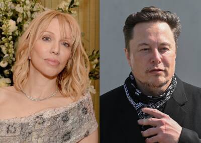 Courtney Love Call On Elon Musk To Pay His ‘Fair Share Of Tax’ - etcanada.com - state Vermont