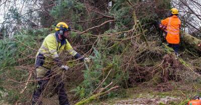 Storm Arwen - Power restored to all homes affected by Storm Arwen, SSEN says - dailyrecord.co.uk - Scotland