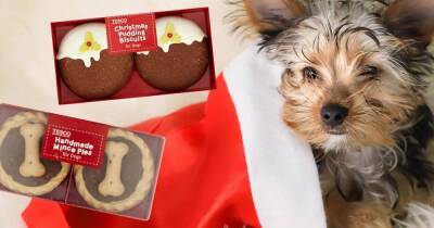 Tesco selling plant-based treats for pets this Christmas - www.dailyrecord.co.uk