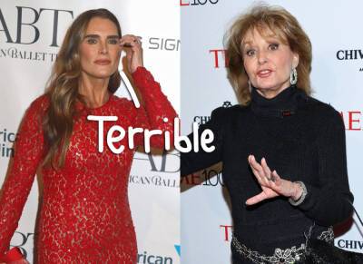 Brooke Shields SLAMS Barbara Walters For 'Criminal' Interview When She Was Just 15 - perezhilton.com