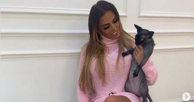 Katie Price ‘gives away another of her kids’ pets as she re-homes cat Hagrid’ - www.ok.co.uk - France