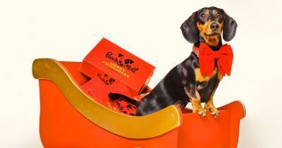 Win a year's supply of good mood food for your dog - www.manchestereveningnews.co.uk