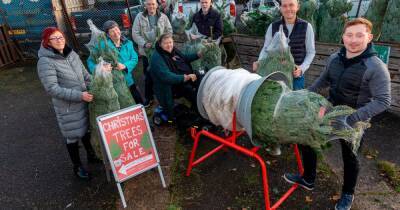 Volunteers sell Christmas trees to aid Perth homeless charity - dailyrecord.co.uk