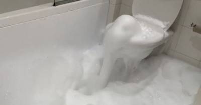 Mysterious plumbing incident sees frothy toilet spew bubbles into Manchester apartment - www.manchestereveningnews.co.uk - Manchester