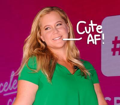 Amy Schumer Bares All To Show Off 'Cute' C-Section Scar In Nude Mirror Selfie - perezhilton.com