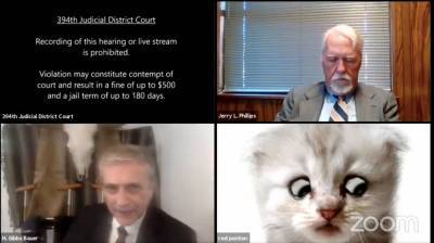 Lawyer In Zoom Call Can’t Figure Out How To Remove Cat Filter & It’s Purr-fectly Hilarious - etcanada.com