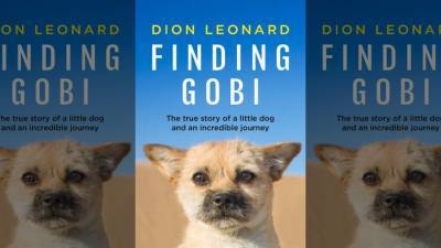 Dion Leonard’s Stray-Dog Memoir ‘Finding Gobi’ Moves to Sony, Tencent Pictures From Fox (EXCLUSIVE) - variety.com - China