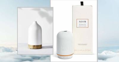 7 of the best room diffusers to create a spa-like experience at home - www.msn.com
