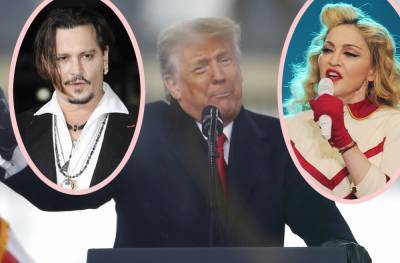 Madonna & Johnny Depp Cited In Bats**t Trump Impeachment Defense - perezhilton.com