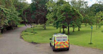 Two teens arrested after boy, 14, stabbed in Glasgow park - www.dailyrecord.co.uk