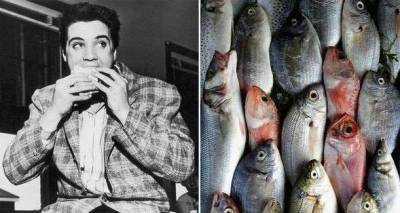Elvis Presley banned fish from Graceland and ate the same meal every day for six months - www.msn.com