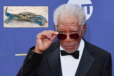 No, That’s Not Morgan Freeman Voicing the Crab in ‘Barb and Star Go to Vista Del Mar’ - thewrap.com