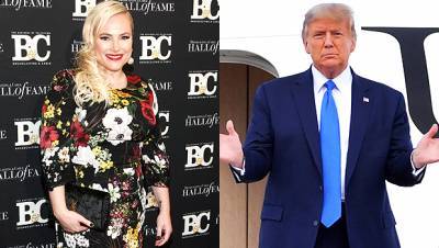 Meghan McCain Warns That Trump Is Like Godzilla Underwater — ‘He’ll Come Back With A Vengeance’ - hollywoodlife.com