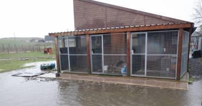 Online fundraising campaign launched to help Dumfries and Galloway animal hospice hit by flooding - www.dailyrecord.co.uk