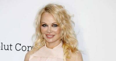 Pamela Anderson gives bizarre TV interview in bed with new husband - www.msn.com - Britain