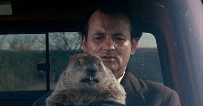 It's Groundhog Day, So Naturally Everyone Is Making The Same Joke - www.msn.com