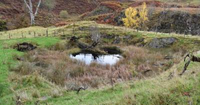 Hunt begins to map and record Galloway's ancient wells - www.dailyrecord.co.uk