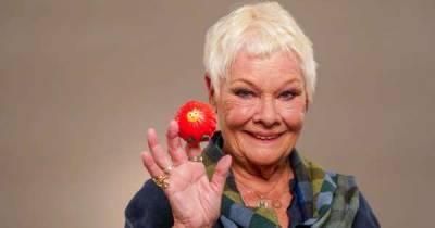 Red Nose Day 2021 launched by stars including Dame Judi Dench and Benedict Cumberbatch - www.msn.com