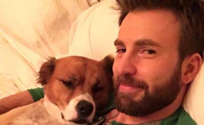 Chris Evans Did Surgery on His Dog's Toy While He Was Actually in Surgery - www.justjared.com