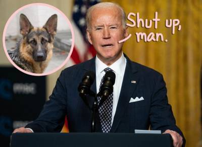 Right-Wing News Show Insults Joe Biden's Rescue Dog Champ In Bizarre Live TV Segment -- WTF?! - perezhilton.com