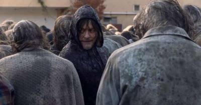 The Walking Dead's Norman Reedus gives an update on Daryl and Carol's spin-off - www.msn.com