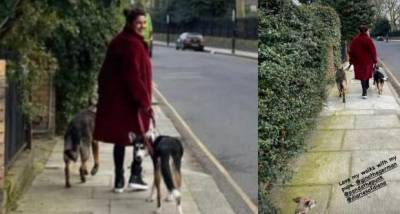 Priyanka Chopra enjoys the cool London breeze as she heads out for stroll with her pets Diana, Gino and Panda - www.pinkvilla.com - Britain
