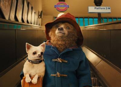 Everything we know about the highly anticipated Paddington 3 - evoke.ie