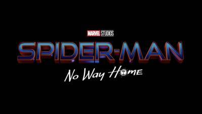 The Next “Spider-Man” Film Officially Has A Title! - www.hollywoodnews.com