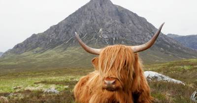 Tourists from England 'not a covid threat' to rural Scotland, says expert - www.dailyrecord.co.uk - Scotland