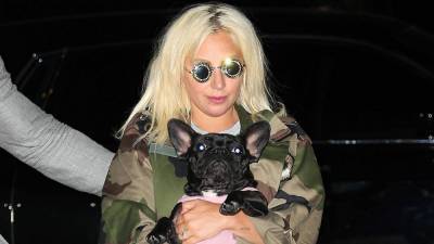 Lady Gaga Offering $500,000 Reward for Stolen Dogs, 'No Questions Asked' - www.etonline.com - France - Los Angeles - Italy