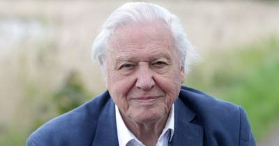 Everything you need to know about Sir David Attenborough's wife and children - www.ok.co.uk