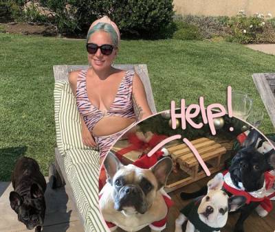 Lady GaGa’s Dog Walker Shot FOUR Times And Her Two Dogs Stolen!! - perezhilton.com - France - Hollywood - Italy