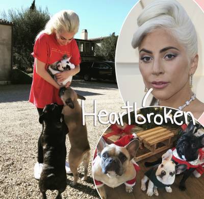 Lady GaGa ‘Beside Herself’ Following Dognapping & Update On Dog Walker! - perezhilton.com - France