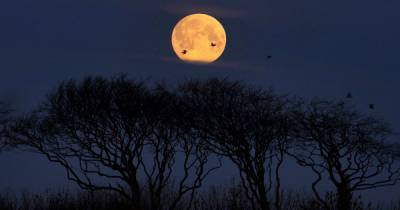 A full snow moon will light up the sky this weekend - and this is the best time to see it - www.manchestereveningnews.co.uk