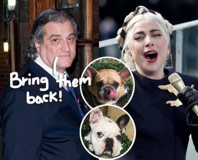 Lady GaGa's Father Speaks Out On Shooting & Dognapping: 'We’re Just Sick Over It' - perezhilton.com - New York