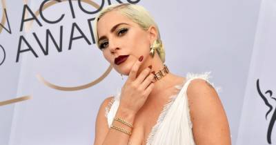 Lady Gaga Dognapping Eyewitness Believes Scary Incident ‘Was Completely Planned Out’ - www.usmagazine.com