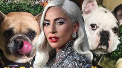 Lady Gaga Speaks Out on Dog Kidnapping, Says Ryan Fischer Is 'Forever a Hero' - www.etonline.com - France - Hollywood